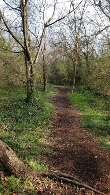 Northside Park Mountain Bike Trail - Multi Use Trail