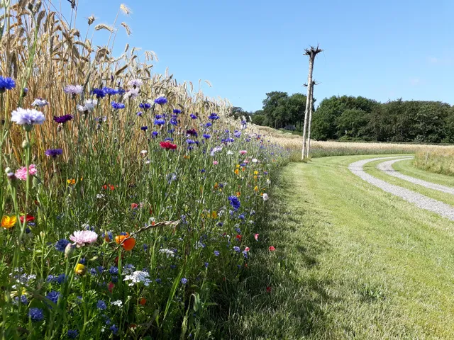 Porshus Ferielejlighed