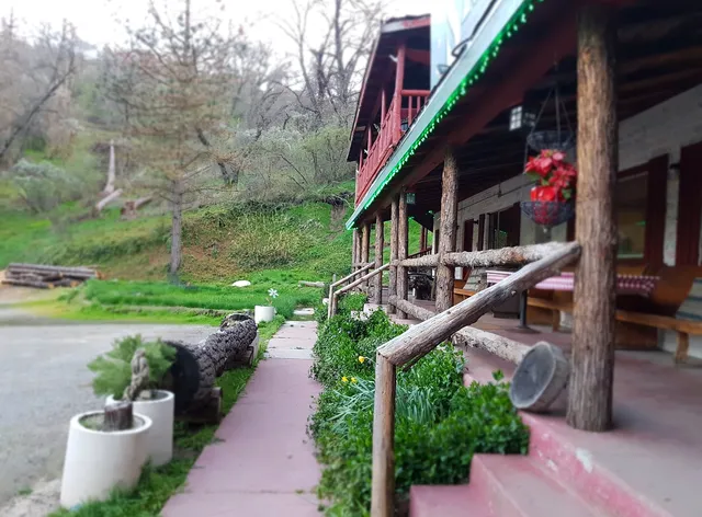 Cyndi's Snowline Lodge