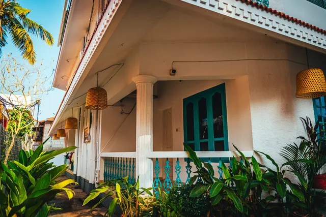 Cliff and Coral North Cliff