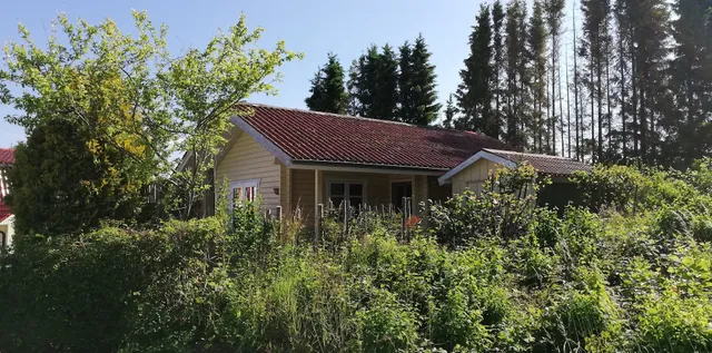 Fördefarm Natura - Petra Freitag