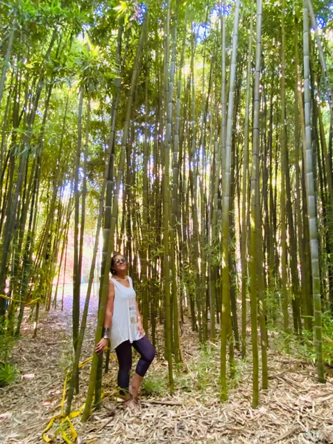 Remanso del espiritu