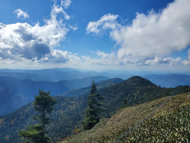 Cliff Tops Viewpoint