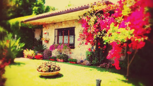 B&B Il Giardino Fiorito