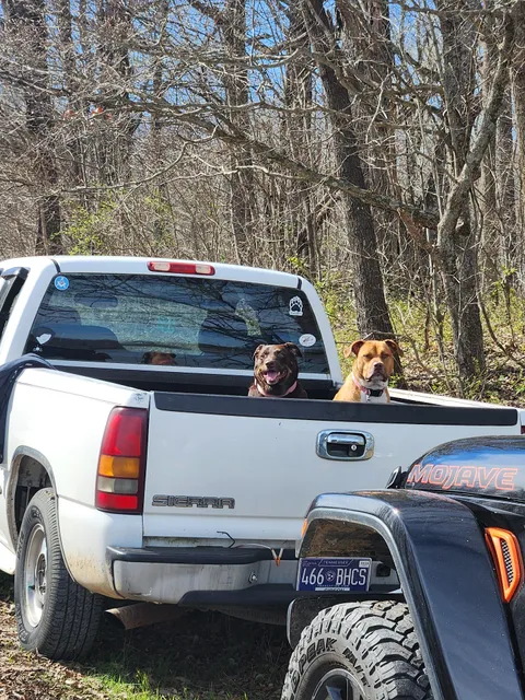 Reelfoot Watershed Lake