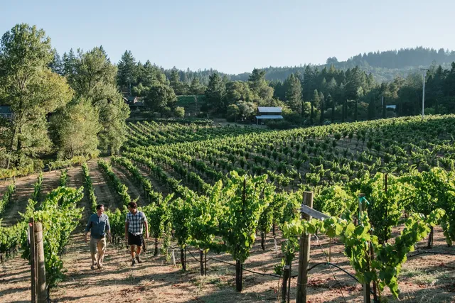 Emmitt-Scorsone Wines