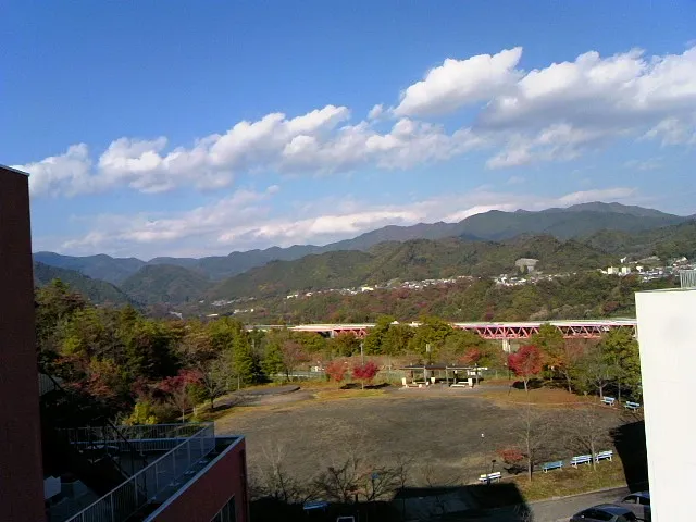 Teikyo University of Science