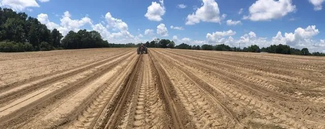 Cameron Farms & Barbecue Creek Berry Company