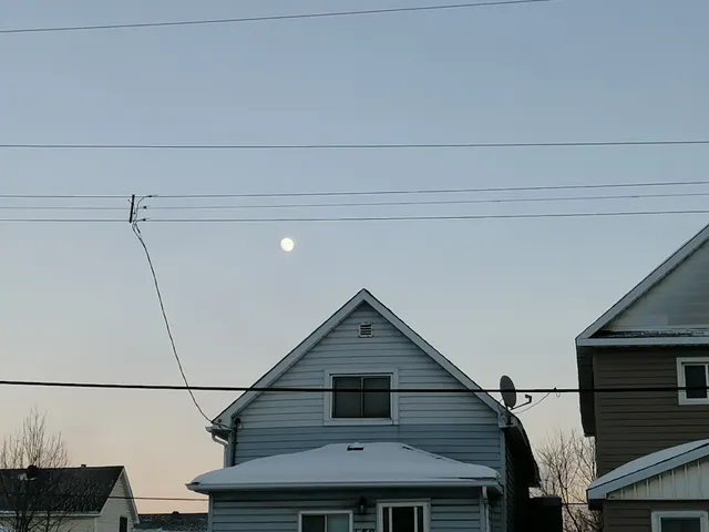 Sault Theatre Workshop