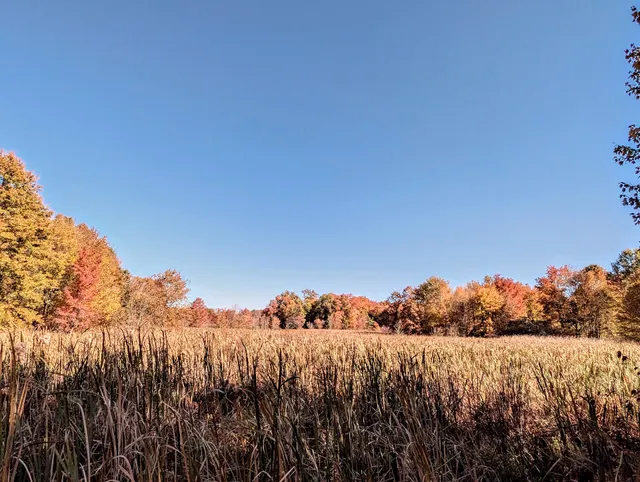 Great Swamp National Wildlife Refuge Wilderness