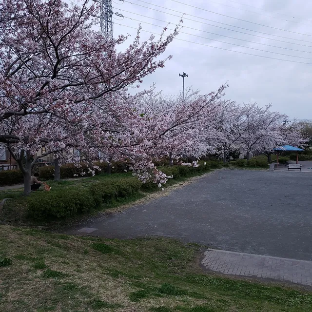 Ikenoyato Park
