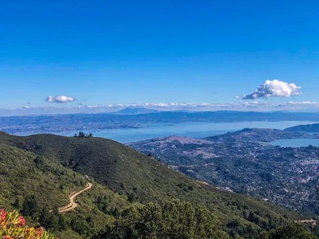 Mt Tam