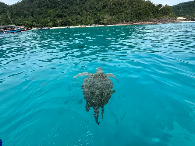 Turtle's Bay Redang Island
