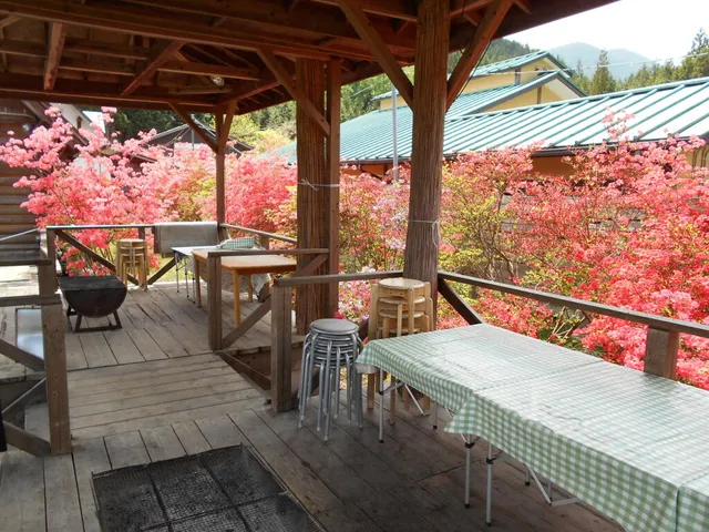 リトルベアーズ