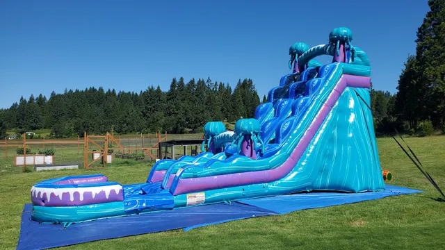 The Bounce House of Redlands