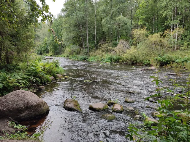 Рощинское городское поселение