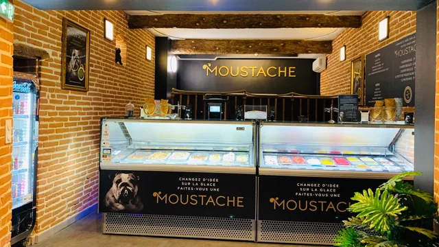 Glaces Moustache-Artisan Glacier