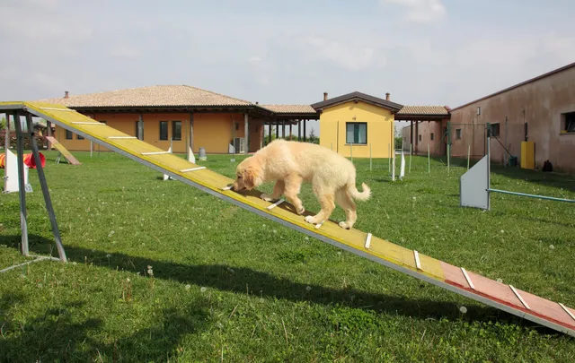 IL Giardino del Duca