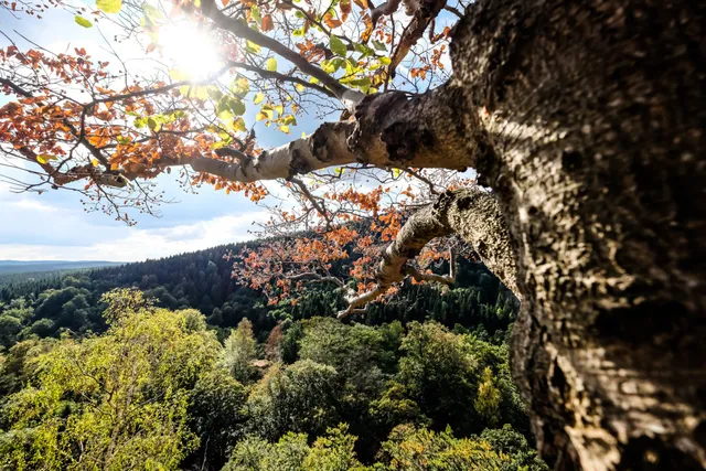 Ferienwohnung Christel Gewiese