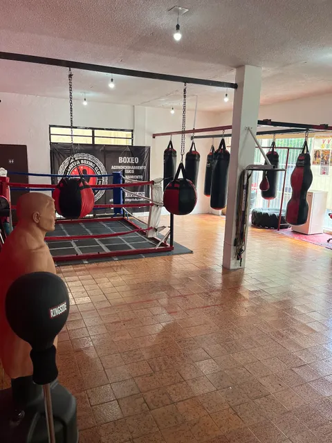 Albavera Boxing Club
