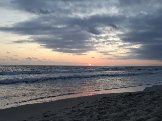 Ente Parco Regionale Di Migliarino S. Rossore Massaciuccoli