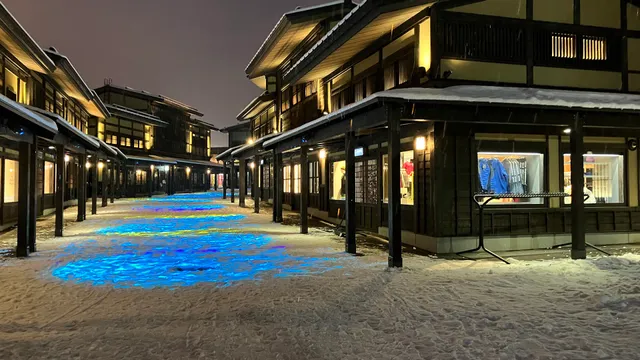 Village Sports Japan