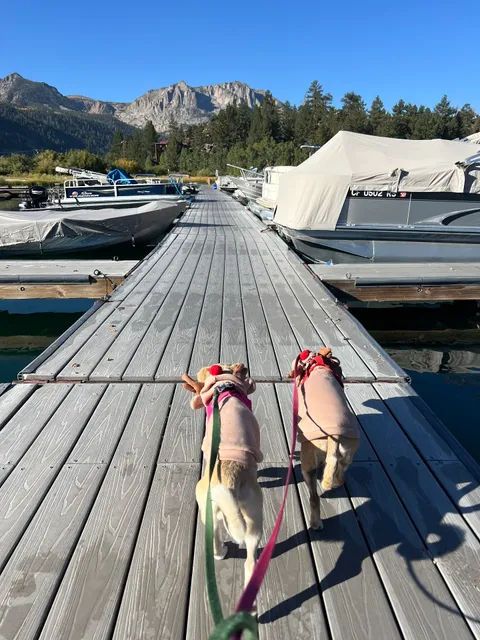 June Lake Campground