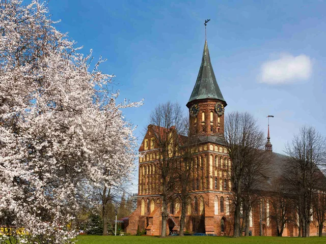 ibis Калининград Центр