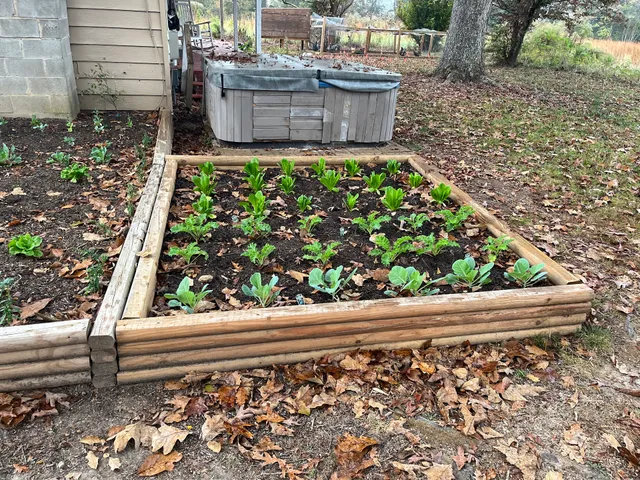 Southern Trace Outdoors