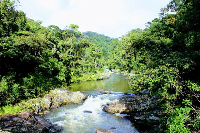 Ranomafana NP Reception and Shop