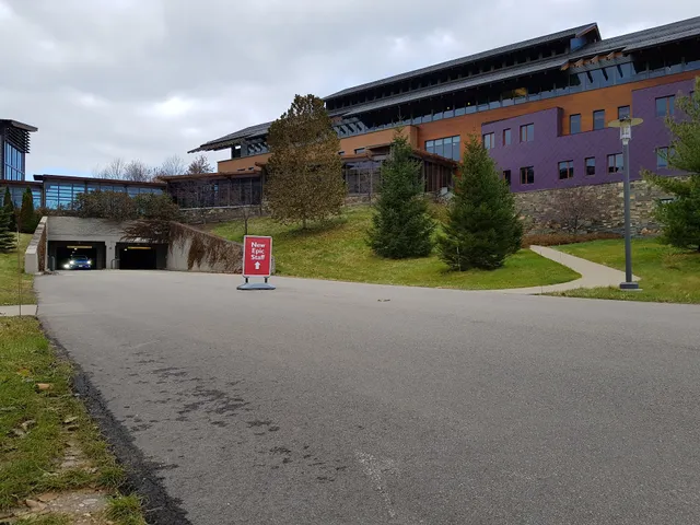 Epic Yoda Parking Garage