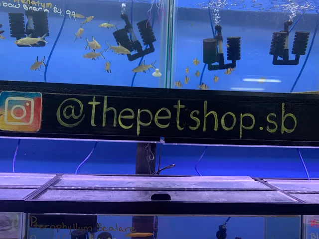 THE PET SHOP