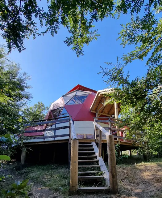 Nido del Quetrupillan