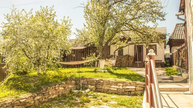 Casa Petri Rosia Montana