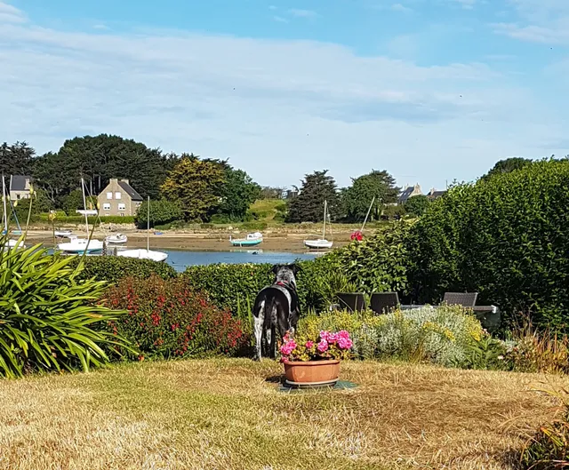 Gîte de l'île Grande