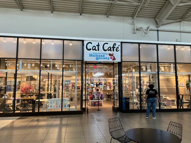 Auburn Valley Humane Society Cat Café