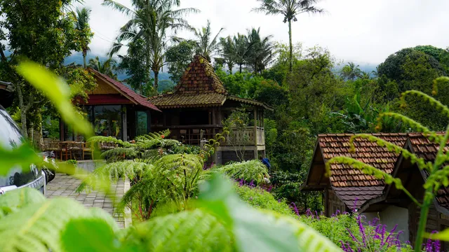 Brave Coffee and Camp