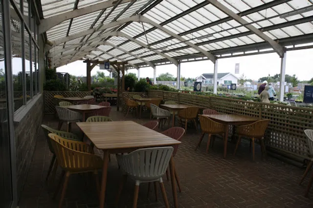 Mulberry & Thyme Cheddar