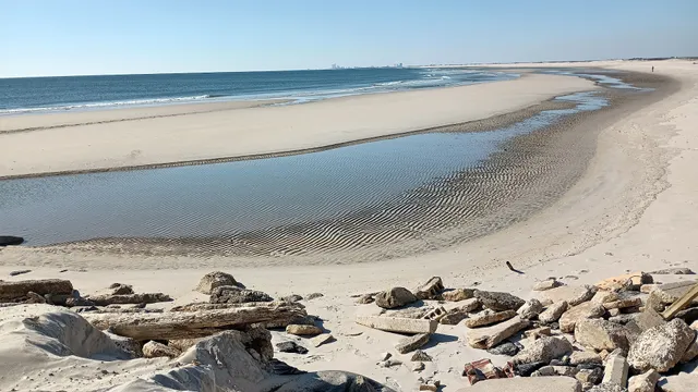 Edwin B. Forsythe National Wildlife Refuge — Holgate Beach Wilderness