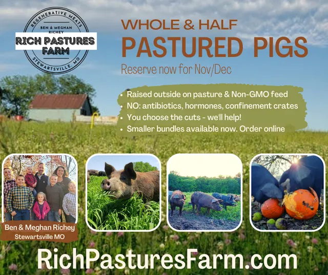Rich Pastures Farm
