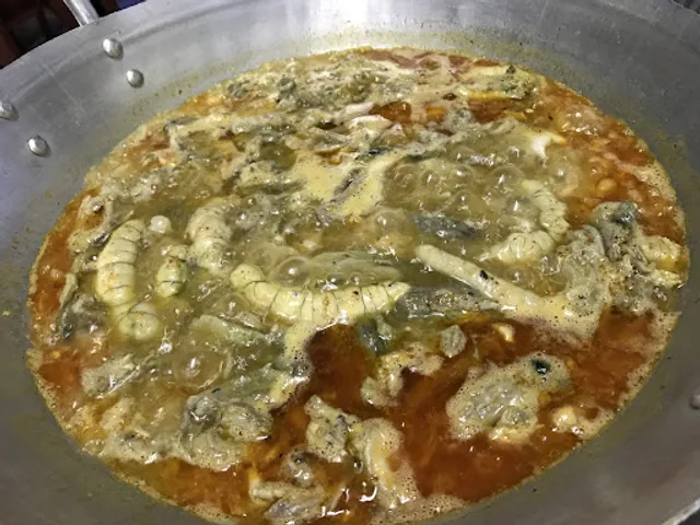 LƯƠN ĐỒNG HOÀI PHƯƠNG GIA TRUYỀN