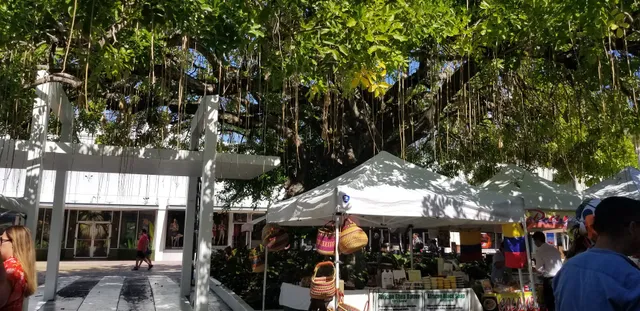 The Antique Collectible Market