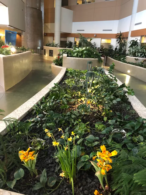 Guru Nanak Dev Healing Garden