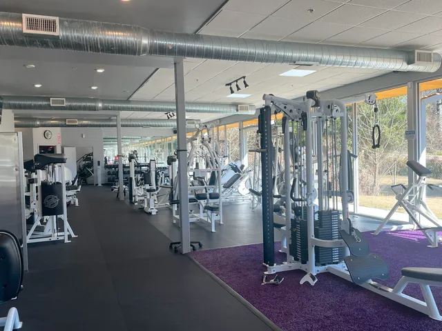 Ultimate Bodies By Carlos