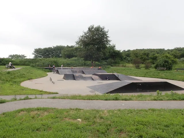 Seba Skate Park