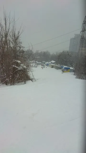 photo-1