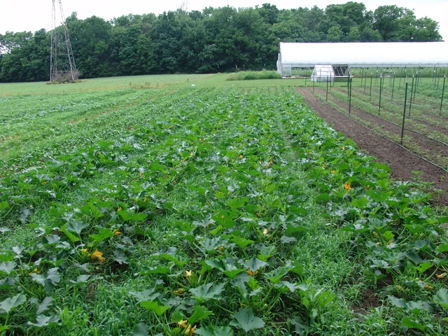 Hidden Acres Fruit Farm