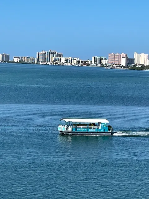 Paddle Pub Dolphin & Party Tours Clearwater Beach