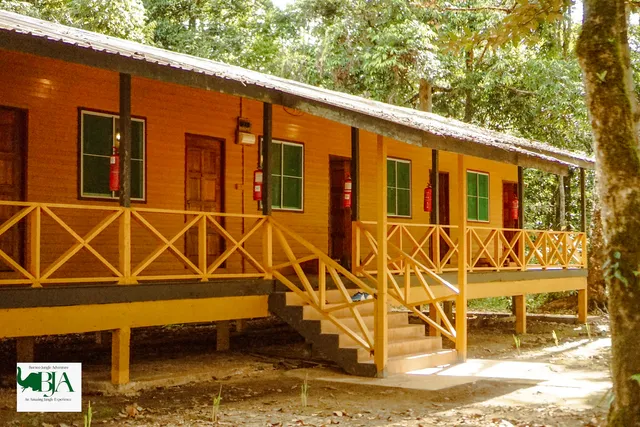 Borneo Jungle Adventure