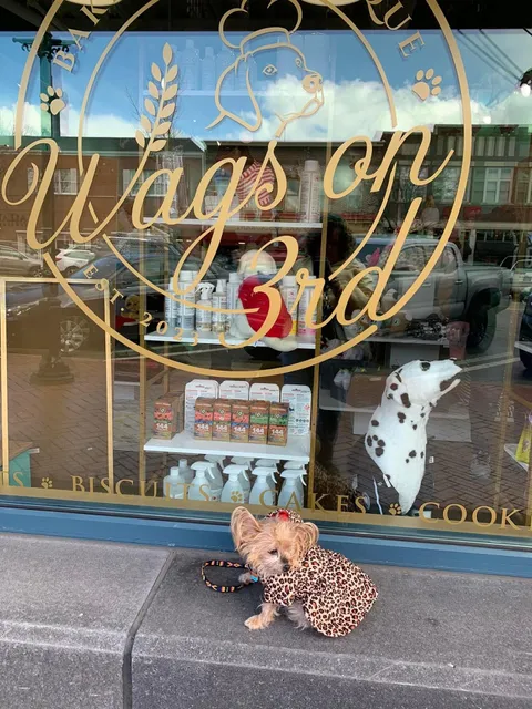 Wags on 3rd Dog Bakery and Boutique